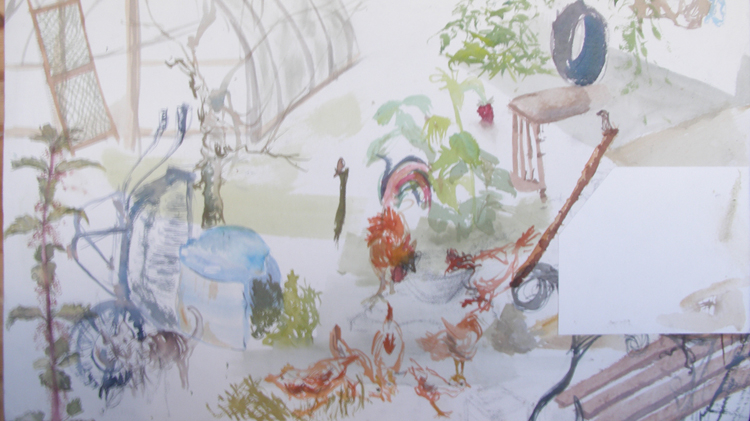 OLYMPUS DIGITAL CAMERA