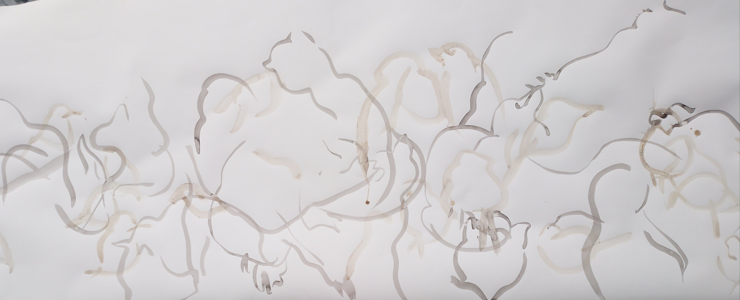 20230304_1144132670851710816805241